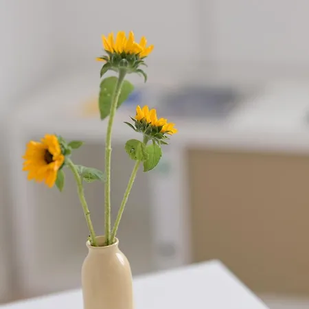 公寓 Gaestehaus Hegerweg 2, *