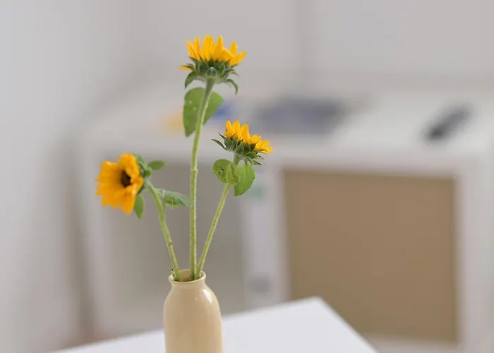 Appartement Gaestehaus Hegerweg 2, *